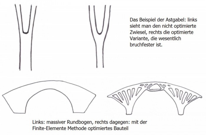 Rundbogen und zwiesel